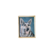 Former Puppy