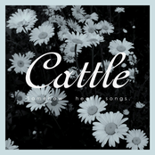 PZL079: Cattle - Somehow Hear Songs EP