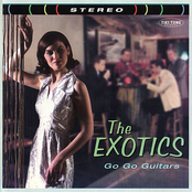 Jetsetter by The Exotics