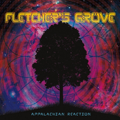 Fletcher's Grove: Appalachian Reaction