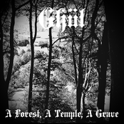 A Forest, A Temple, A Grave
