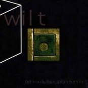 Opening The Black Box by Wilt