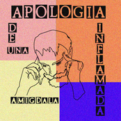 Apología de una Amigdala Inflamada
