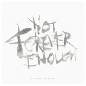 Not Forever Enough