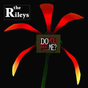 Do You Feel Me? - Single