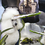 1982 - Pizza, Beer & Smokes C20 Cassette