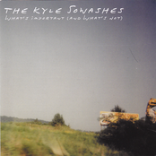 What's Important (And What's Not)