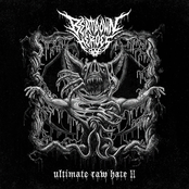 Ultimate Raw Hate ll