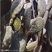 繋がる瞬間にシャッターを