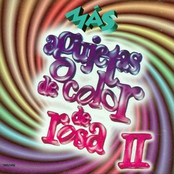 Agujetas de Color de Rosa II