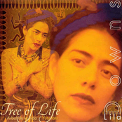 Tres Pedernal by Lila Downs