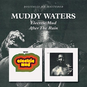 Hurtin' Soul by Muddy Waters