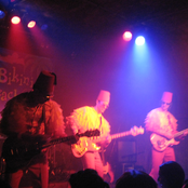 The Bikini Beach Band