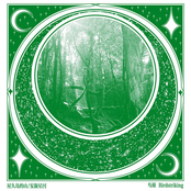 Mountains in Yakushima / Stargazing