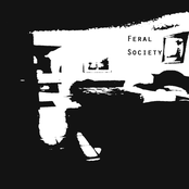 Feral Society