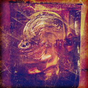 split with Fuck The Facts