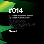 Exothermic Reaction by Skream