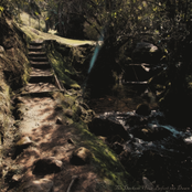 The Darkest Hour Before the Dawn