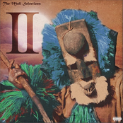 The Mali Selections Vol. 2