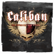 One Of These Days by Caliban