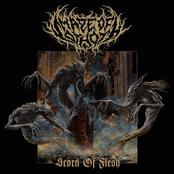 Scorn Of Flesh - Single