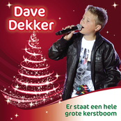 Er Staat Een Hele Grote Kerstboom