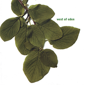 Where The Ivy Is Growing by West Of Eden