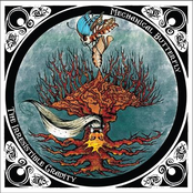 The Irresistible Gravity