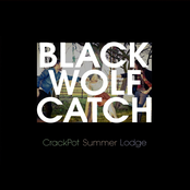 black wolf catch