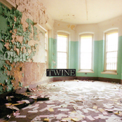 Something Like Eternity by Twine