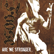 Are We Stronger...