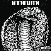 THIRD NATURE