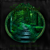 Min Egen Lilla Värld by Synthetic Forest