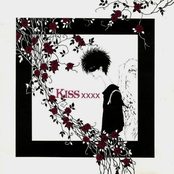 Kiss XXXX
