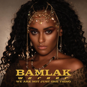 We Are Not Just One Thing - Single