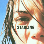 Celibate by Starling