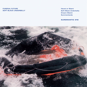 Soft Black Underbelly