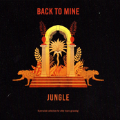 Back to Mine : Jungle
