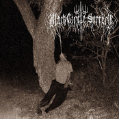 Suicide Under the Midnight Sun