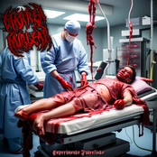 Experimento Putrefacto