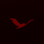 (unreleased experiments 2007+)