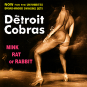 Mink Rat or Rabbit