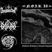 Nihilisme Orthodoxe et Insanité Rigoriste Vol. II