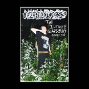 The Infinite Gardens