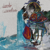 Dazzle Camouflage
