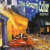 The Summer Of Falling Stars by The Groovy Cellar