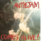 Comes Alive!