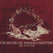 The Sound Of Animals Fighting: Tiger and the Duke