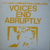 Voices End Abruptly