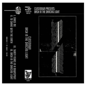 Bask In The Dancing Light